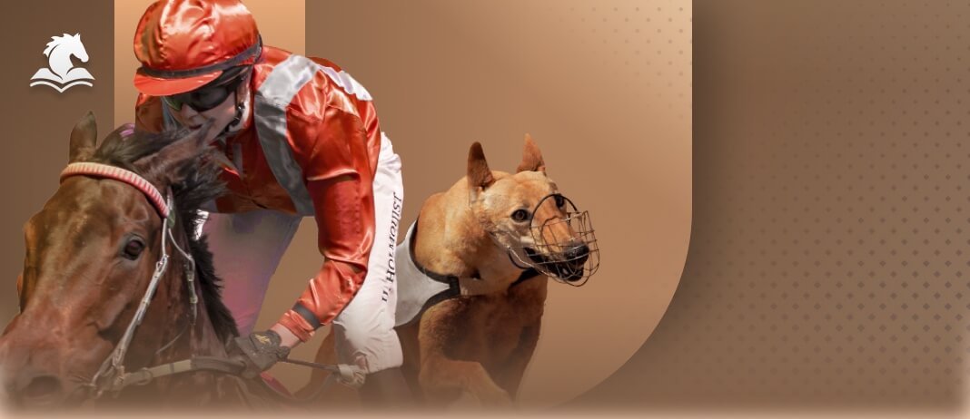 SV088 13 Ae2bet 17